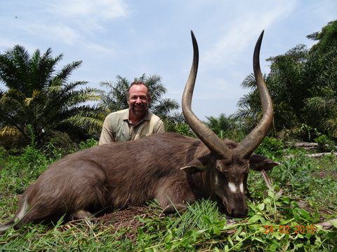 A Really Big Tusker