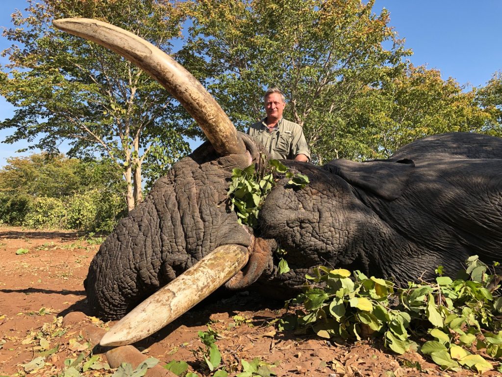 A Really Big Tusker