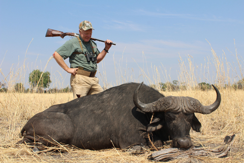 Close Encounters with Buffalo