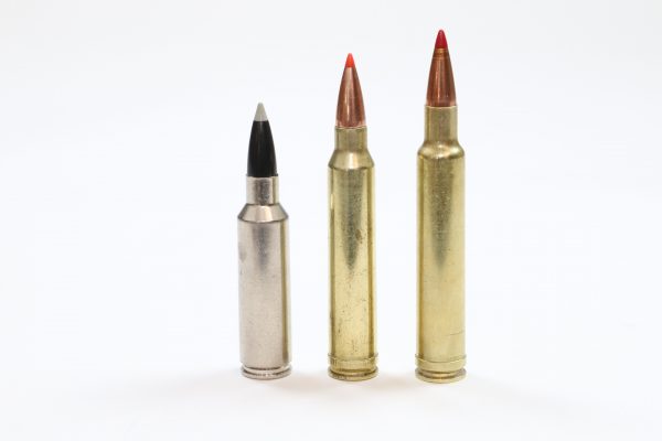 Cartridges for Sheep Hunting | Sports Afield