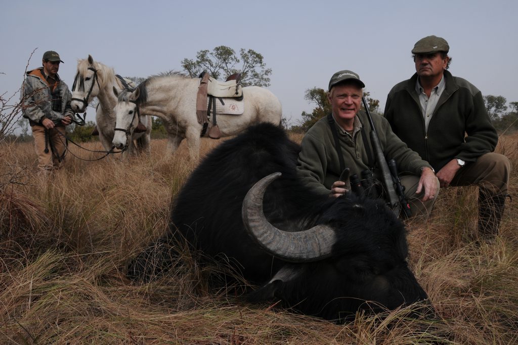 The Myths of Cape Buffalo - Safari Club