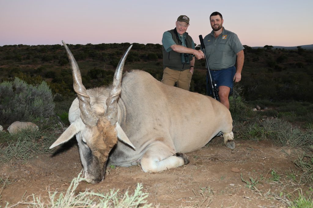 eland antelope nose