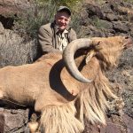 The Poor Man’s Sheep Hunt