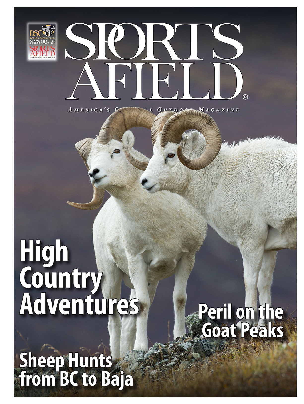 current-issue