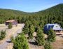Meadow Gulch Retreat, Year Around Wildlife Viewing