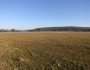 Sandy Creek 360